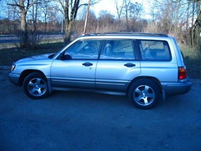 Forester.jpg
